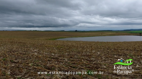 DOS EÓLICOS VIRA P FAZENDA_Moment.00_01_48_05.Quadro150_11199cdde29c0ec104549debd33a5175f0600e4e.jpg